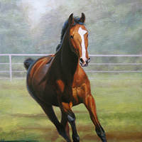 Horse Portrait